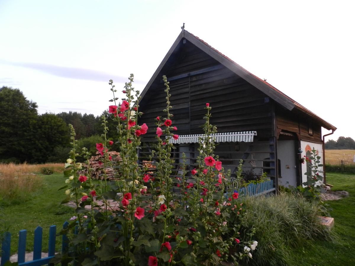 Фермерские дома Pod tulipanem nad jeziorem Zawady Oleckie-41